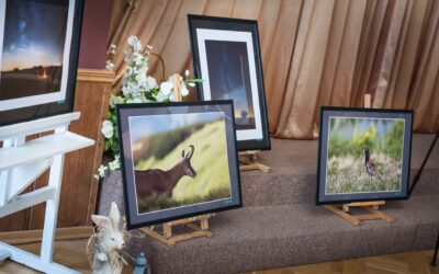 Wernisaż wystawy fotografii Stowarzyszenia Fotografów Ptaków i Przyrody w Bydgoszczy